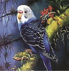 Diamond Art Kit - Budgie 30 x 40cm - Creative Arts & Crafts